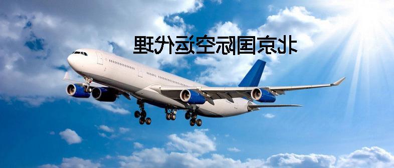 国际空运代理